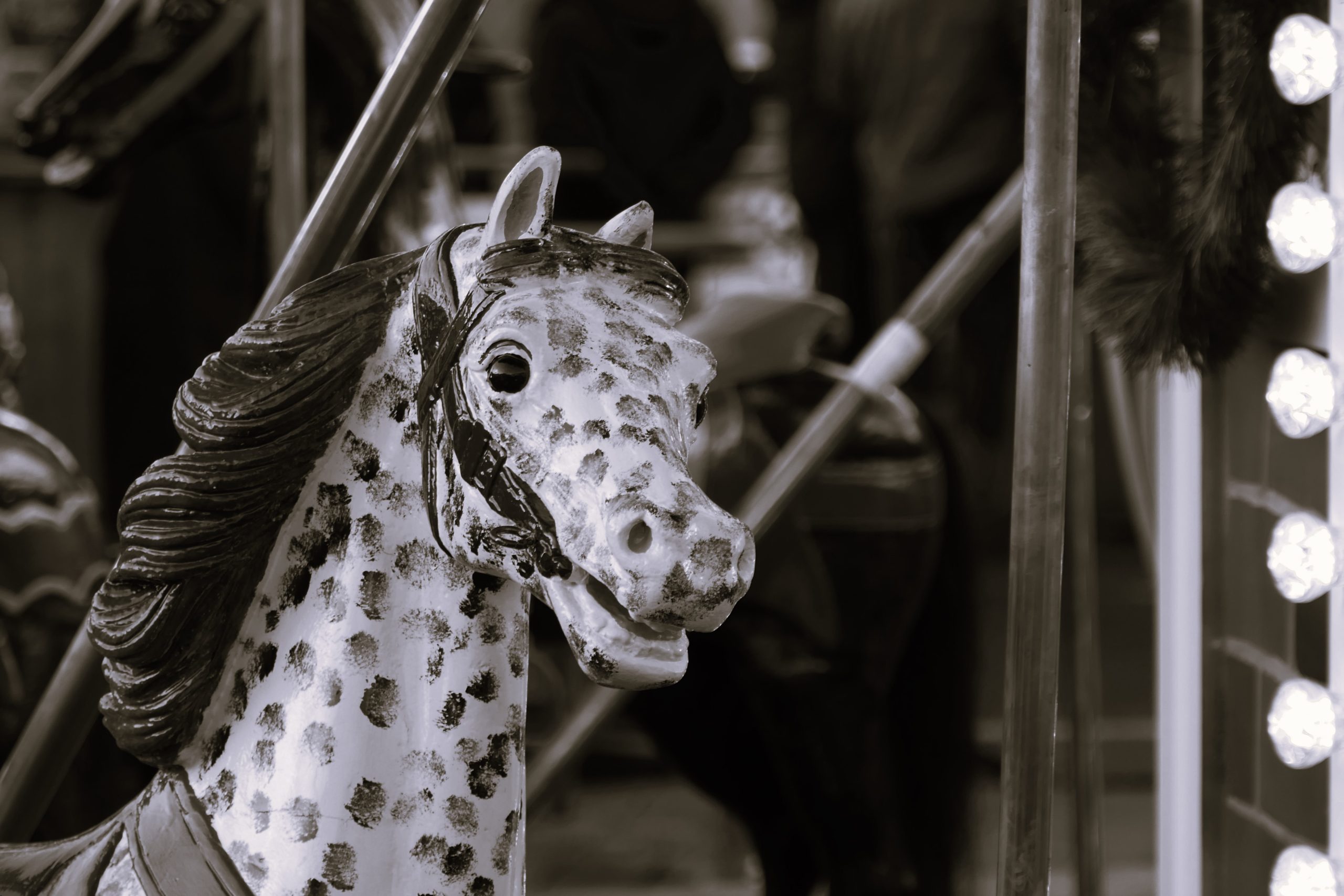 @carousel-7660545_by_Kranich17_pixabay_pbs/Pfarrbriefservice