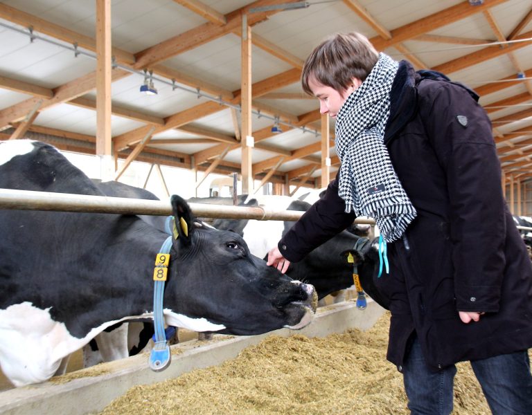 Ein Nachmittag auf dem Bauernhof – Für alle Generationen